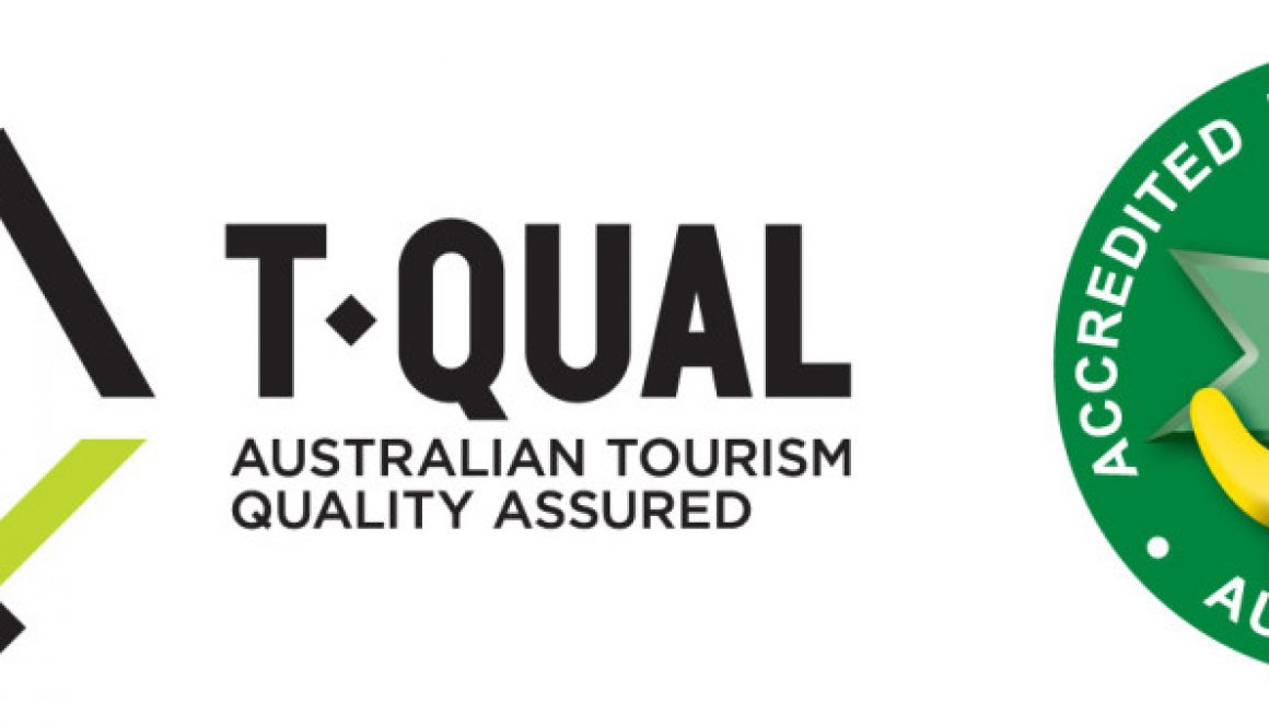TA - TQUAL_ATAP Logo_RGBHor