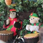 nannup_monkeys